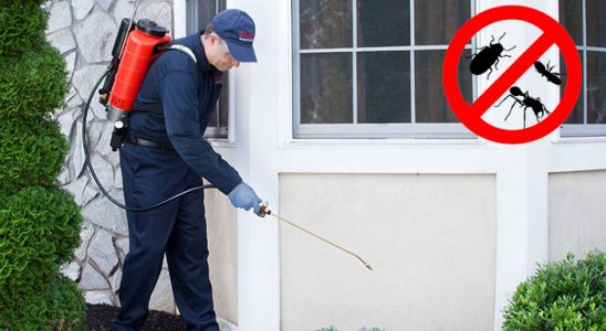 Doğankent Böcek İlaçlama böcek ilaçlama ve haşere kontrolü — ilaclama-tr.com